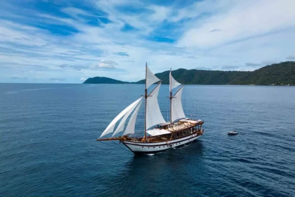 Majik-Cruise-3-3